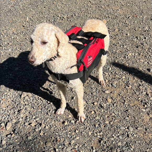 Dog Backpack - Picture 15 of 16